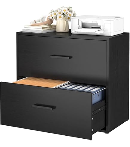 Amazon.com: DEVAISE 2-Drawer Wood Lateral File Cabinet with Lock